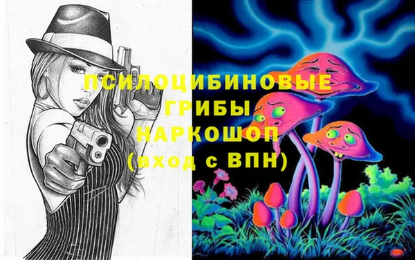 соль ск Алексеевка
