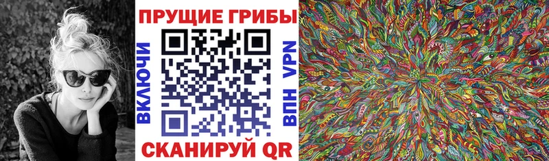 Псилоцибиновые грибы GOLDEN TEACHER  Аргун 